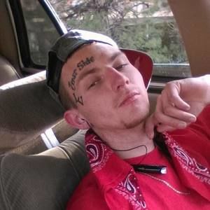 Meet your Posher, Harvey